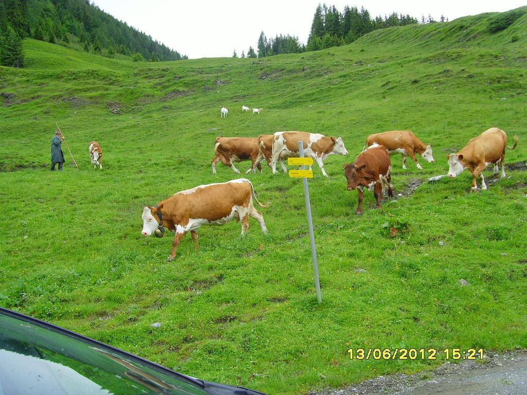 Feriendorf Ponyhof Fusch an der Grossglocknerstrasse 外观 照片