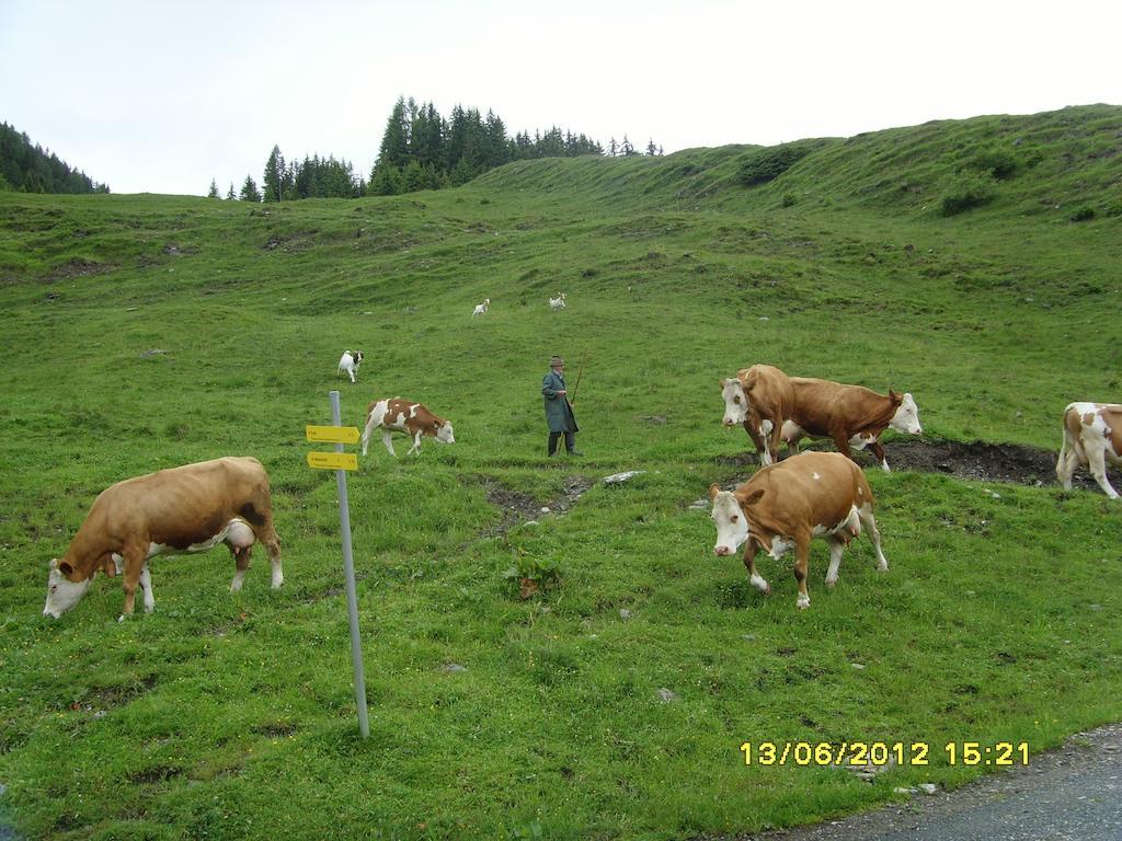 Feriendorf Ponyhof Fusch an der Grossglocknerstrasse 外观 照片
