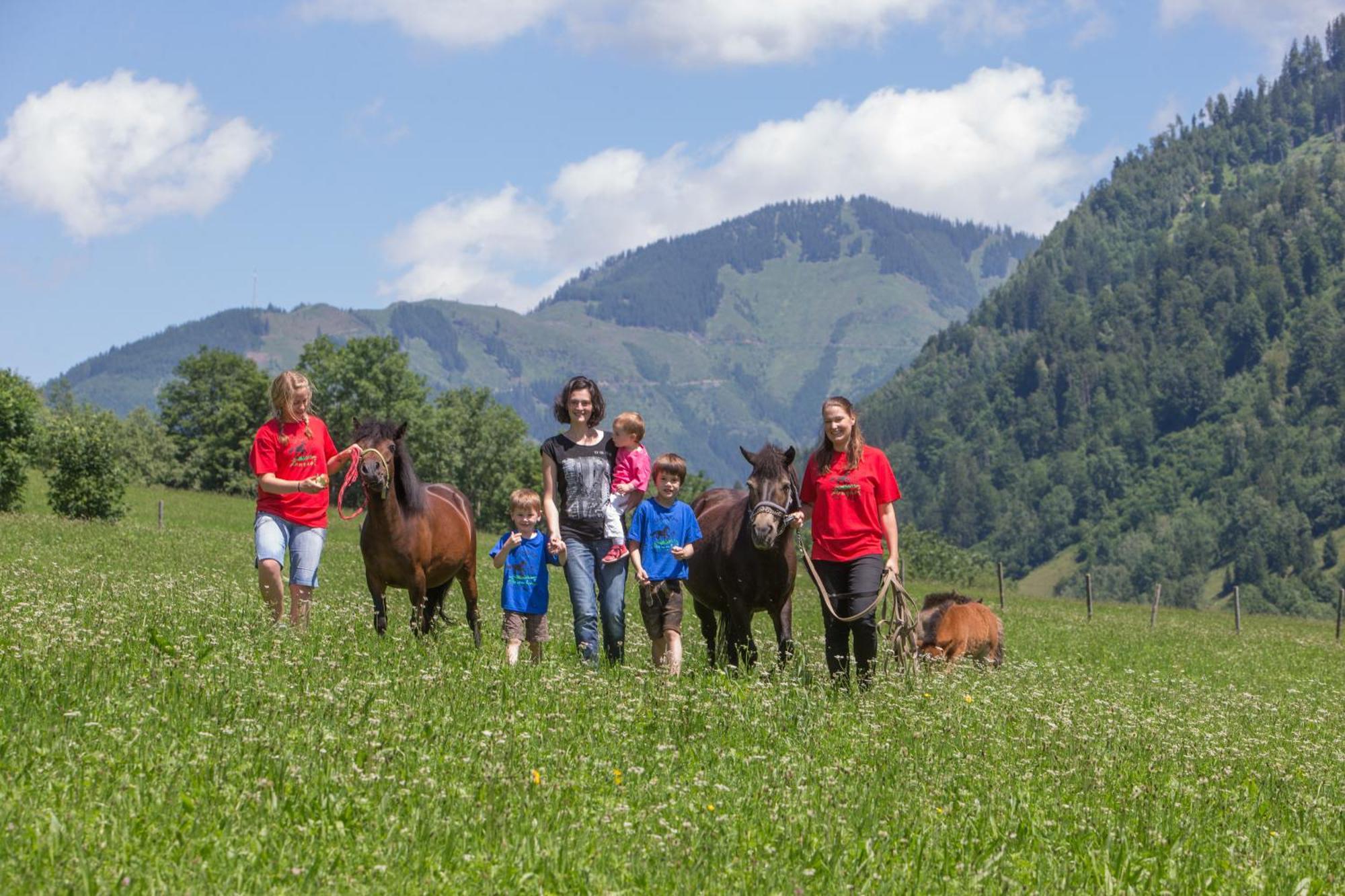 Feriendorf Ponyhof Fusch an der Grossglocknerstrasse 外观 照片